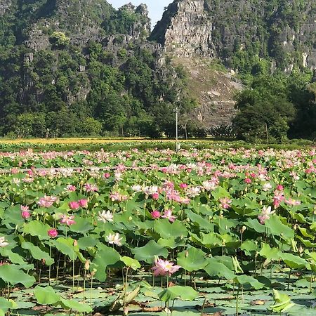 נין בין Tam Coc - Thanh Homestay מראה חיצוני תמונה