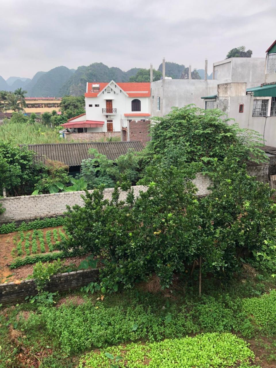 נין בין Tam Coc - Thanh Homestay מראה חיצוני תמונה